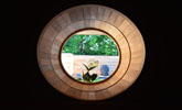 Catlleya Wellness logo